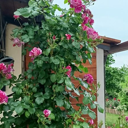 Ferienwohnung Colle Perazzoni Fiano Romano Exterior foto