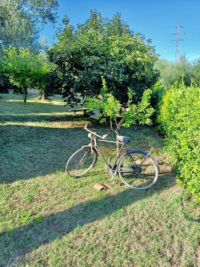 Ferienwohnung Colle Perazzoni Fiano Romano Exterior foto