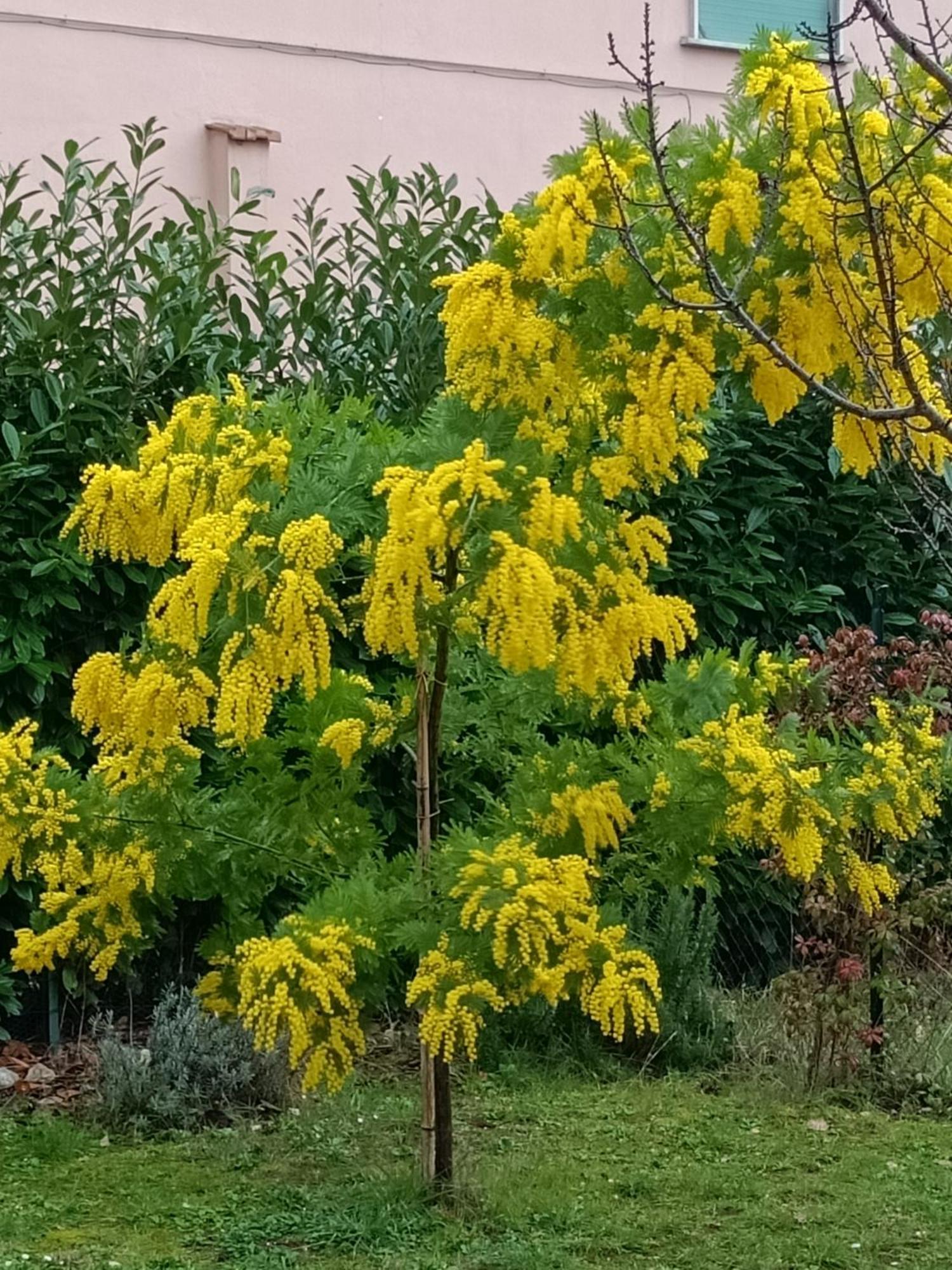 Ferienwohnung Colle Perazzoni Fiano Romano Exterior foto