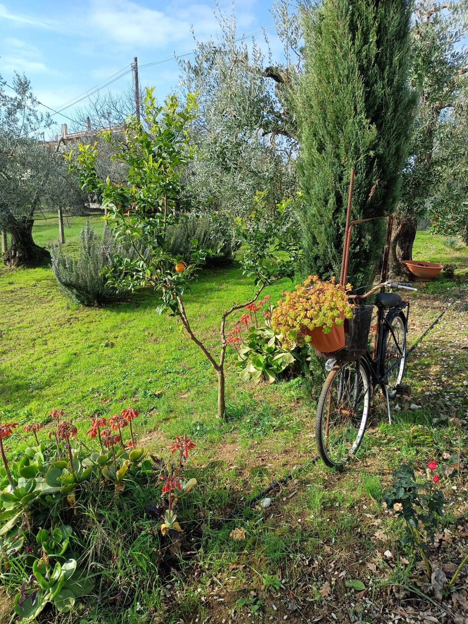 Ferienwohnung Colle Perazzoni Fiano Romano Zimmer foto
