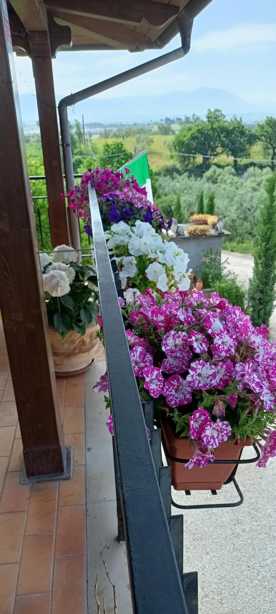 Ferienwohnung Colle Perazzoni Fiano Romano Exterior foto