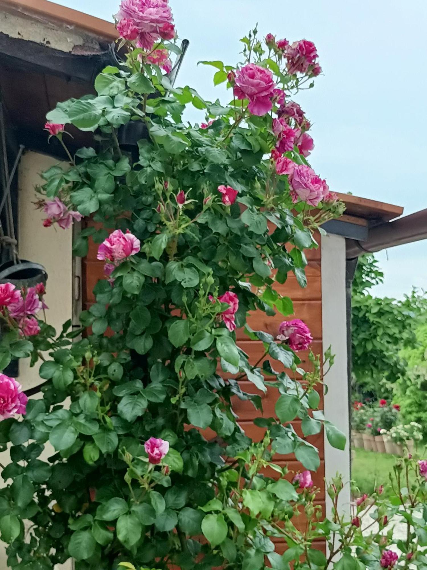 Ferienwohnung Colle Perazzoni Fiano Romano Exterior foto